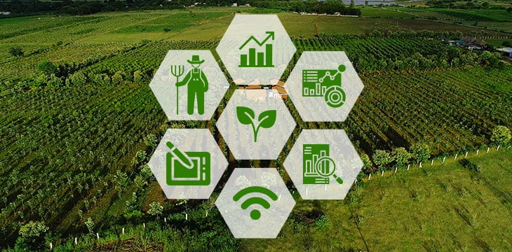 Harnessing Agriculture Farmland as Powerful Measures to Control Inflation